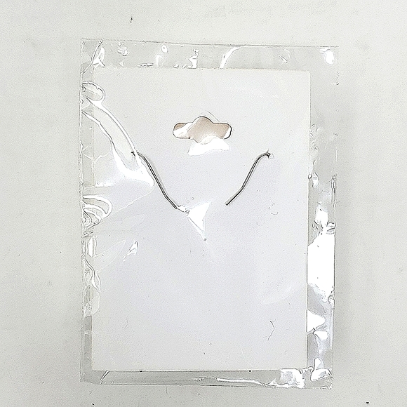 Colors Of The Southwest Pierced Earrings - Picture 4 of 5